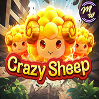 Crazy Sheep
